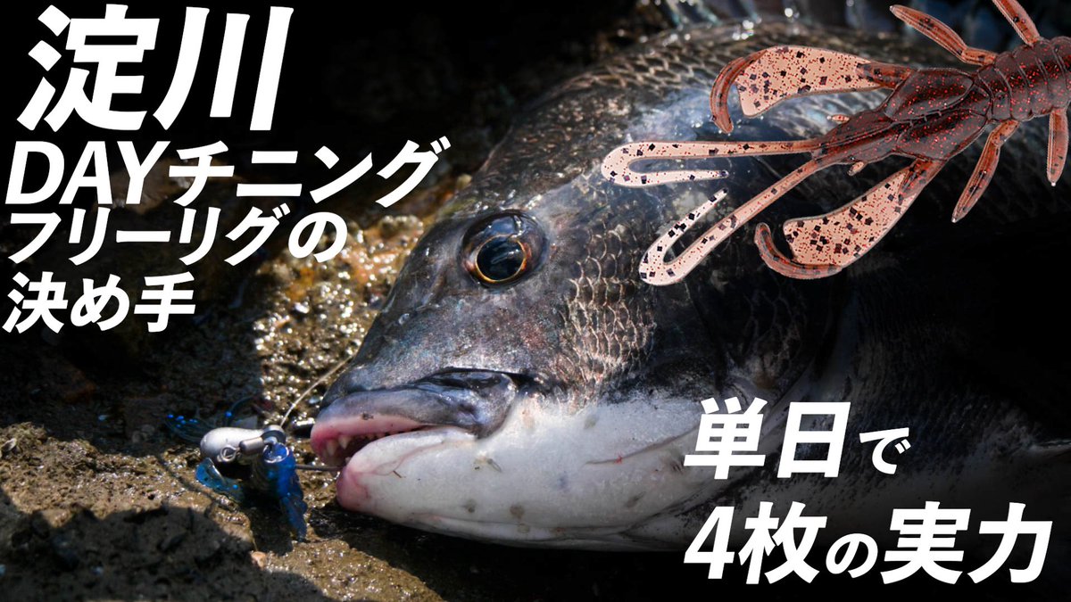 JKL_ShoreSalt's tweet photo. 【チニング】淀川DAYチニング フリーリグの決め手 単日で4枚の実力/佐々木平磨

今回はチョップスナックのフリーリグを使ってデイチニングの楽しさと釣るためのコツを紹介します！
https://t.co/1MDeO2Usn5 https://t.co/8A6NhZAUcN
