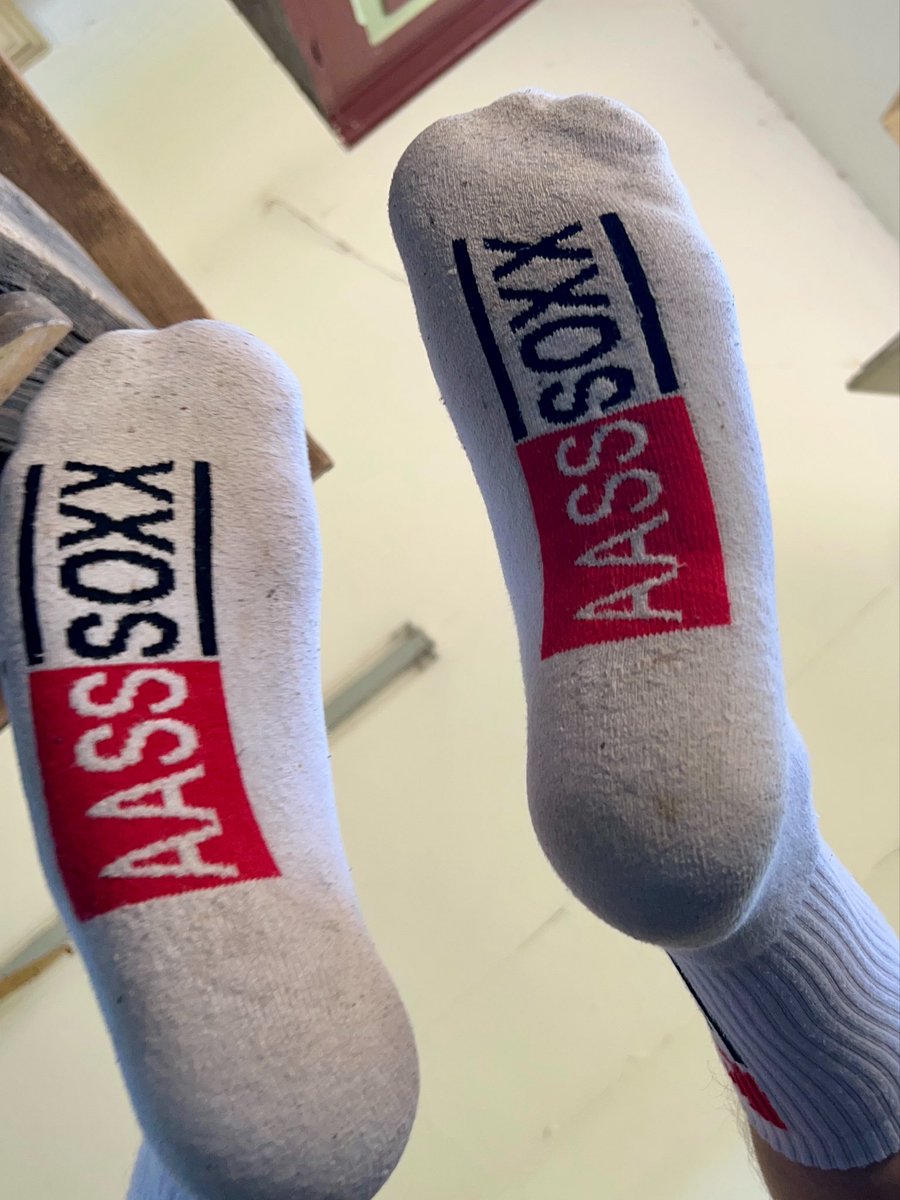 Pup_Enso's tweet photo. Today some sox and footies play 🐾🐾🐾 https://t.co/45lft2nQVd