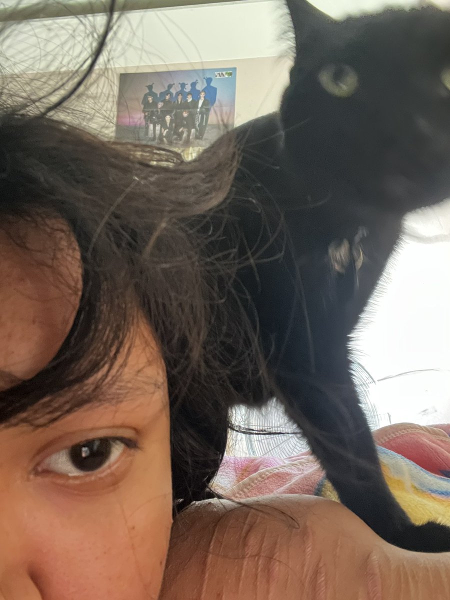cigsl0ver's tweet photo. he likes to stand in my back https://t.co/NNkS46mxLD