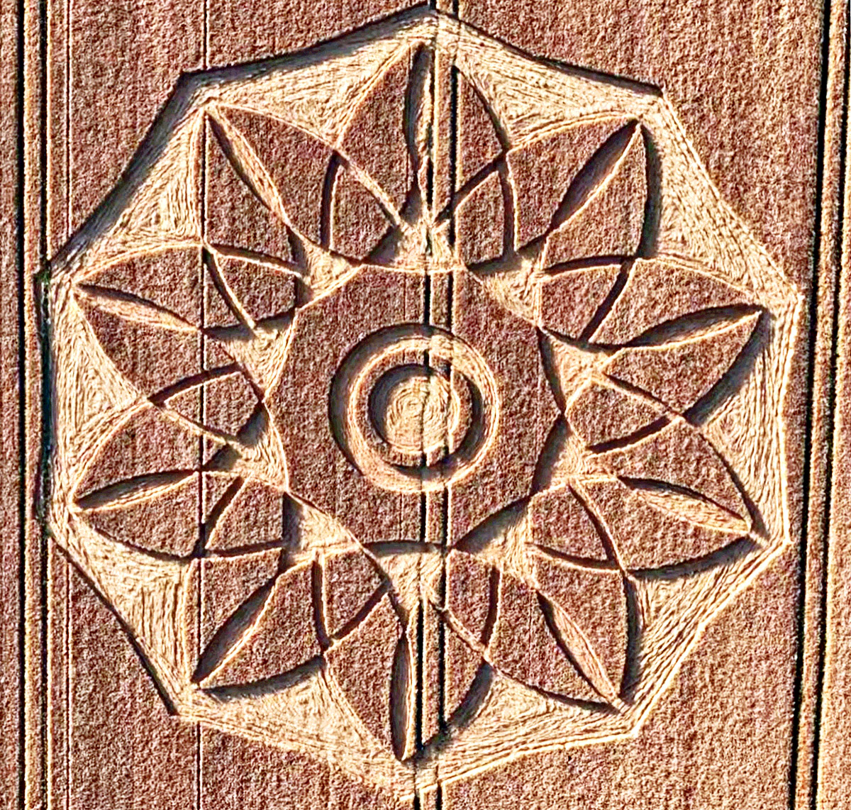 RedCollie1's tweet photo. Grok says incorrectly: "Reported on June 29, 2026, a new crop formation features a central double ring, encircled by interlocking leaves, with an octagonal frame. Crop circle researcher Dr. Horace Drew has verified the site with the farmer."
I have certainly NOT verified that site with the nice farmer, Mr. Hussey, whom I respect greatly. Because I live in Australia, while he lives in England! This shows how little you can trust summaries prepared by A.I.
Yet I do know the correct interpretation of that crop picture, as first suggested by Rodney Graphics and others. 
This crop picture shows "10 hoof prints" which would be made, for example, by a landscape "white horse" which was drawn long ago, on a hill nearby. 
The "mystery crop artist" often refers to himself as a "rider on a white horse" from the Book of Revelation, Chapter 6, verses 1-2. 
This is not the first time. MANY important crop pictures have pointed toward the landscape "white horses" of Wiltshire. 
You can decide. Two old drunks from the pub? 
A drug-crazed factory worker, whom Matthew calls "Mr. Wiggle"? 
Or a real "rider on a white horse" from the Book of Revelation" and his people? ✝️
Who were those tall blond guys, seen in Washington DC recently, also seen walking around in a 2009 crop picture? 
Please study the images shown below and elsewhere. We should learn more soon. 😀 
Truth will come to all.
