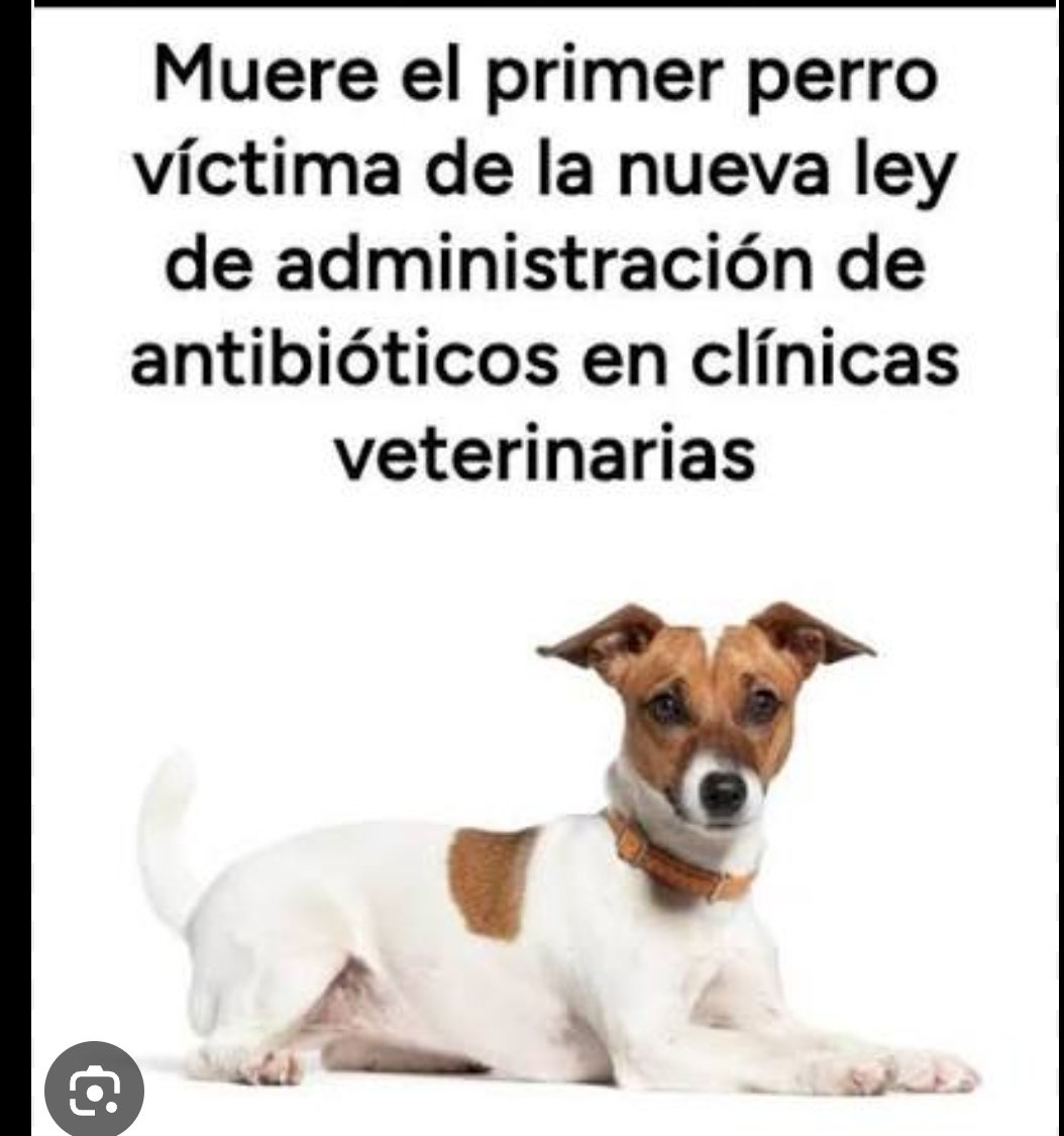 Ardid16's tweet photo. @elmundoes Y asi les tratamos. https://t.co/weFnr0McLq