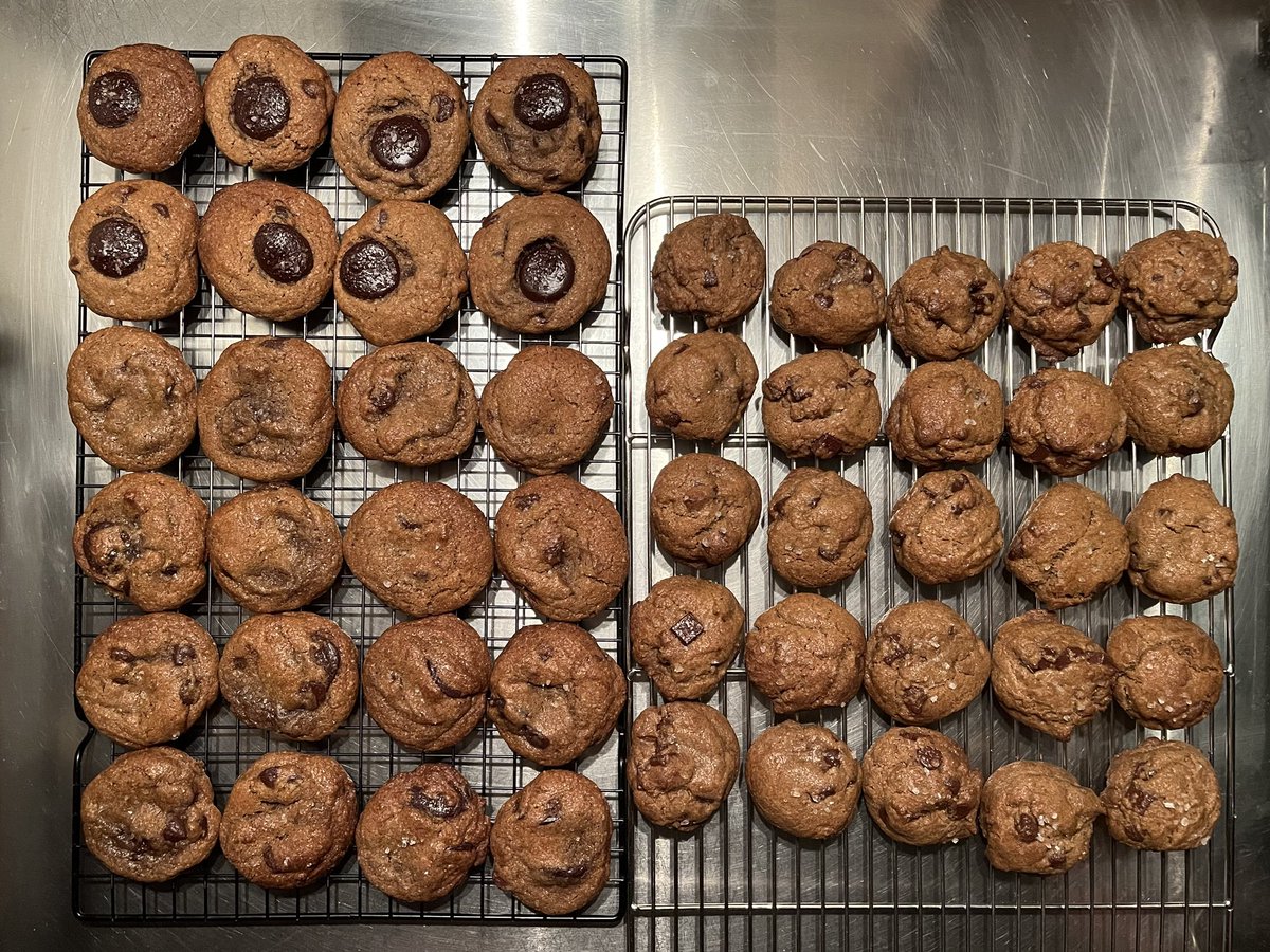 BMoo4x4's tweet photo. I’ll be giving out cookies on con day! Buy tix and see you there! 😄 https://t.co/CPmmThjjbI