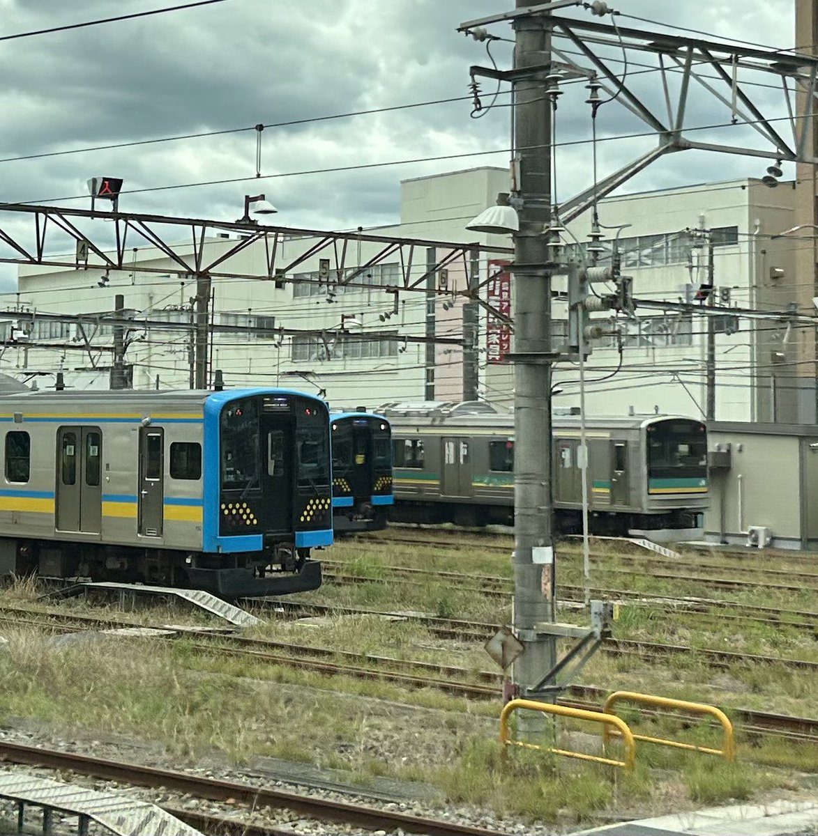 Local_TabiAca's tweet photo. #2026年6月に乗った路線を晒せ -1

JR東日本
東北新幹線､常磐線､山手線､京浜東北線、横須賀線､総武線快速､横浜線､鶴見線､南武線､南武支線､両毛線

東武
スカイツリーライン､伊勢崎線､佐野線､日光線､鬼怒川線

会津鉄道会津線

野岩鉄道会津鬼怒川線 https://t.co/70wudiHqVN