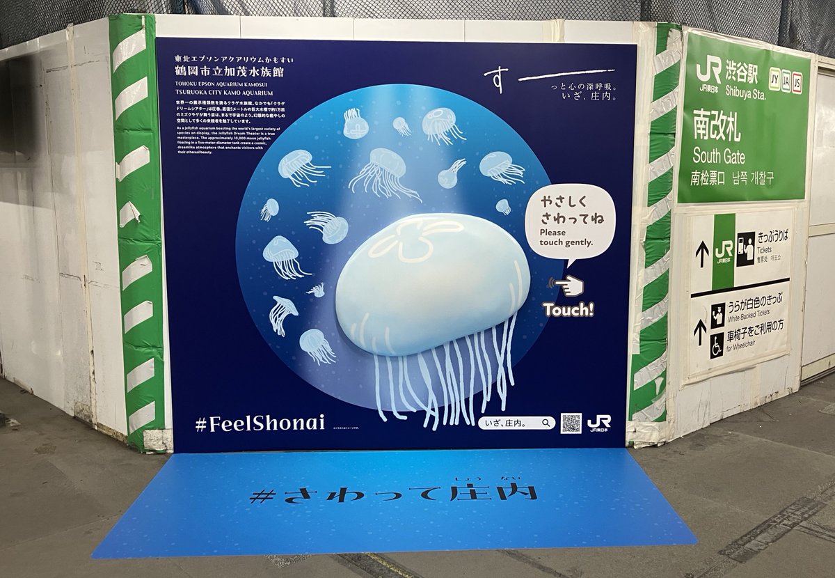 JREast_official's tweet photo. ／
📢渋谷駅で庄内の魅力に触れてみませんか？
＼

7/1～9/30の間開催される
「山形庄内夏の観光キャンペーン」にあわせ
庄内エリアの魅力を触って感じられる
装飾を渋谷駅で展開🪼

「東北エプソンアクアリウムかもすい」のクラゲに
「だだちゃ豆」「山伏とホラ貝」など
やさしくふれてみてください♪