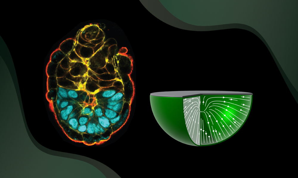 embl tweet picture