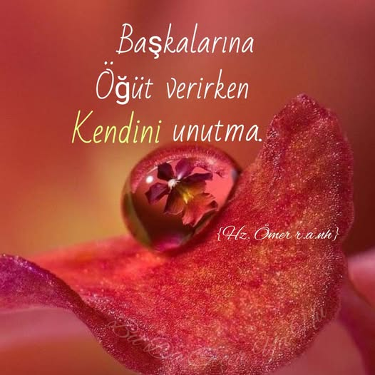 alp_all's tweet photo. https://t.co/cv7oOhmdRa