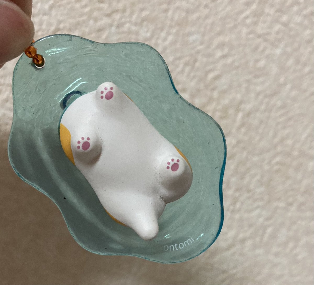 FloraSnowrabbit's tweet photo. 2月に発売予定が発表された時からずっーと回したかったガチャを回せたので、しばらくガチャから離れます🫠ひっそり楽しみたいだけだからガチャブーム早く去ってほしい😭

めじるしじゃないからかな？無事に回せてよかった🥲水中のあんよがほんっと可愛い🫶
もっちりアニマル　水中のぞき見マスコット https://t.co/kwk5nrJGV6