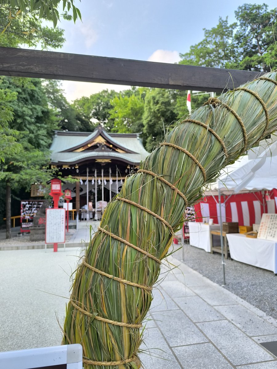yoshida_ltd's tweet photo. 昨今は職人の後継者不足で中止になるところも多いと聞くが、これは数日前に作られたばかりの新鮮な茅の輪⋯いわゆるヌーベル・チノワである https://t.co/qNVKFZmhM2