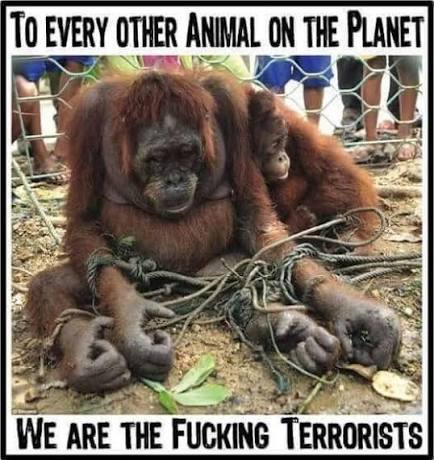 sparanthu's tweet photo. @RahulSeeker I refuse to be a terrorist/barbarian in this civilized world. And even after getting big english degrees dont know the diff b/w plants and animals. https://t.co/nv9kXjARTm