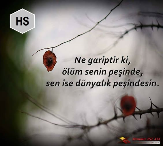 alp_all's tweet photo. https://t.co/scRppBxPPe