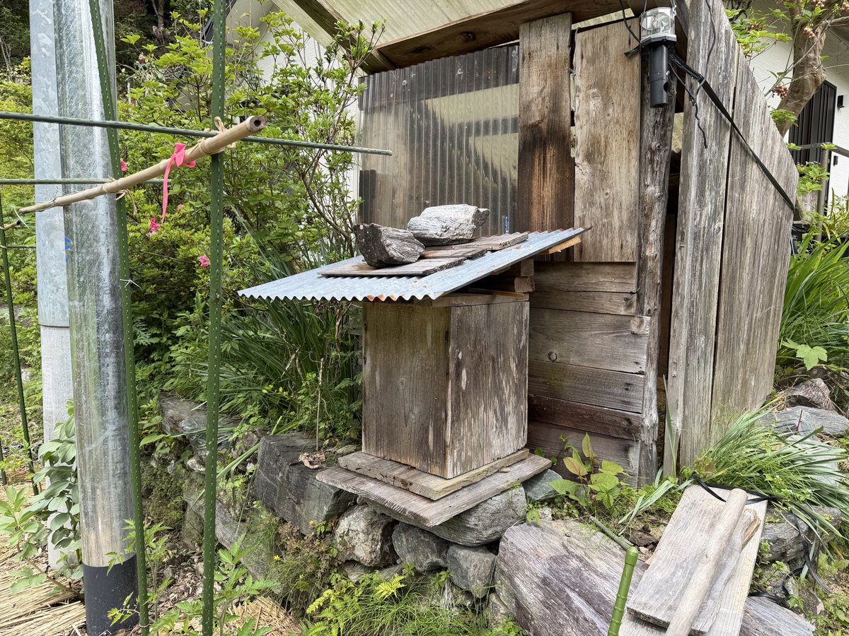 shimataro07's tweet photo. 5月のミツバチ https://t.co/XttwlDnh2S