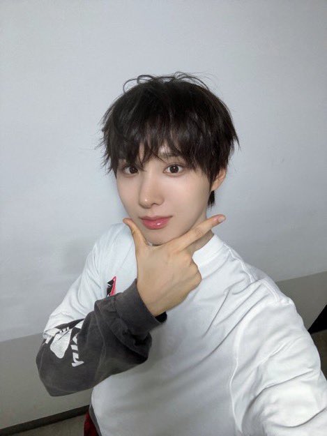 oeluvan's tweet photo. 내가 생각하는 왕멍이                           왕냥이 https://t.co/RaTMY3d86M