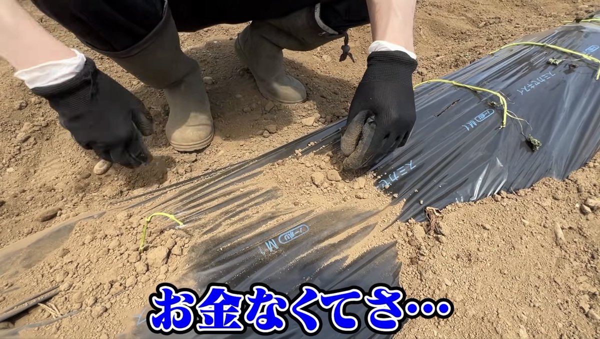 tenten_198's tweet photo. ヒモきんさん再来してておもろい🎤💸 https://t.co/t9ewSDB4cV