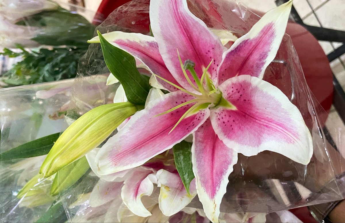 bielbiey's tweet photo. Pasar Rawabelong adalah pasar yang harus dikunjungi sekali seumur hidup🌷💐🌺🌹 https://t.co/S5lv0iSdwe