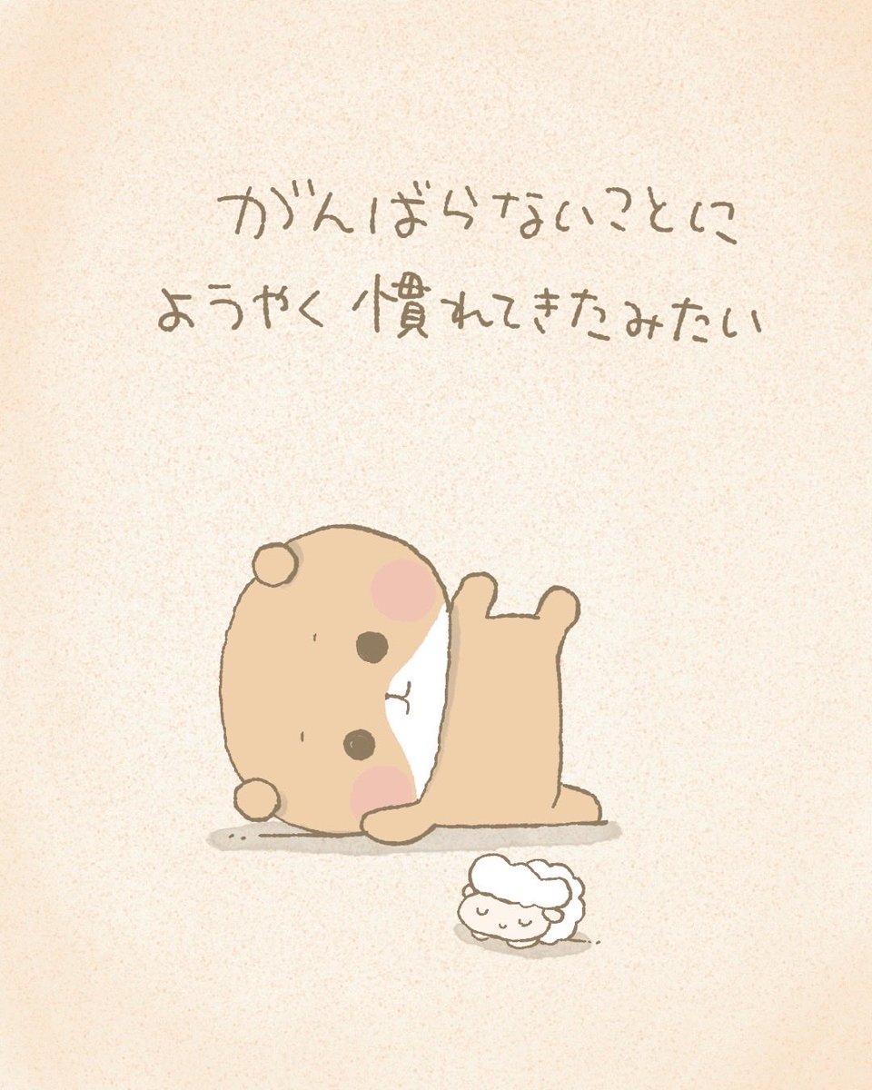 ねむっくま☆です ちょっとづつ、自分のペースで。