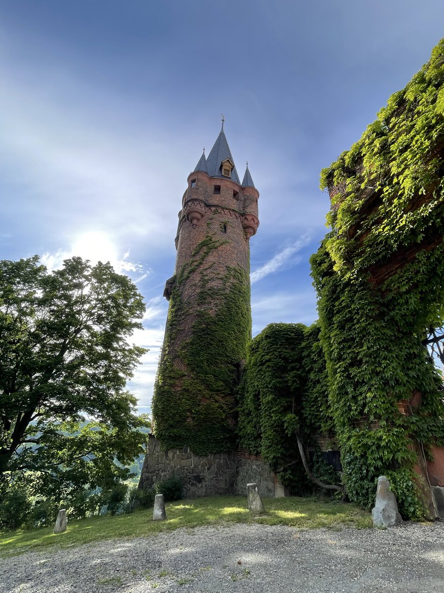 DanuGames's tweet photo. This summer we’re traveling across Europe in search of inspiration for Danu: Rise of the Templars.

We’ve been exploring 12th and 13th century castles, climbing ancient towers, and uncovering local legends and ghost stories. Every journey, every ruin, and every tale helps us build a richer world for our future players.

The best fantasy worlds are inspired by real history. ⚔️🏰👻

#gamedev #indiedev #indiegame #UE4 #RPG #Fantasy #Medieval #Templars
