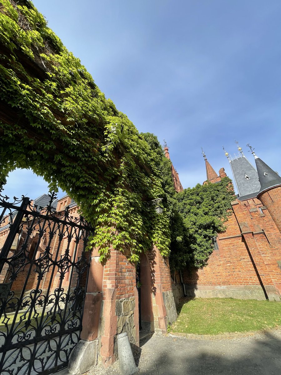 DanuGames's tweet photo. This summer we’re traveling across Europe in search of inspiration for Danu: Rise of the Templars.

We’ve been exploring 12th and 13th century castles, climbing ancient towers, and uncovering local legends and ghost stories. Every journey, every ruin, and every tale helps us build a richer world for our future players.

The best fantasy worlds are inspired by real history. ⚔️🏰👻

#gamedev #indiedev #indiegame #UE4 #RPG #Fantasy #Medieval #Templars
