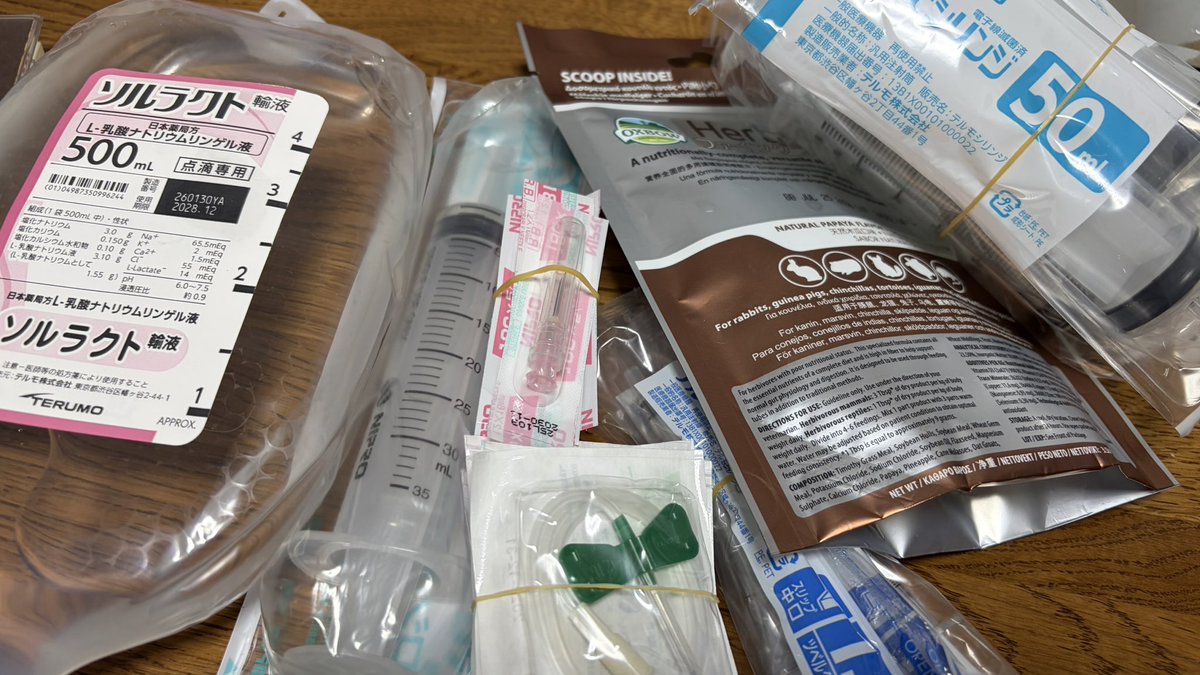 norisuke_usa's tweet photo. 皮下点滴セットと給餌用のご飯貰ってきました！
病院で練習させてもらったけど、我が子に針を刺すのはむ、難しい😭！
タオルで練習して��た明日頑張ります https://t.co/oA8mS7Oh2W