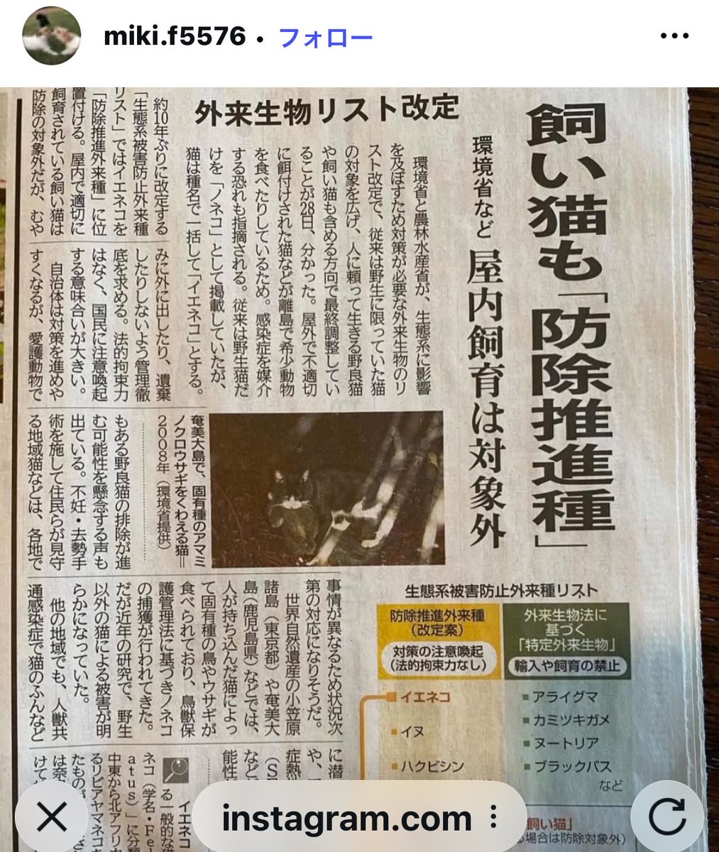 tabipaw1's tweet photo. うっかり脱走してしまった猫や一代限りの地域猫も対象やで！他の人も言ってるけど「猫虐待の口実になる」
ほんまどないなってんのこの国 https://t.co/61Tnbnx1OF