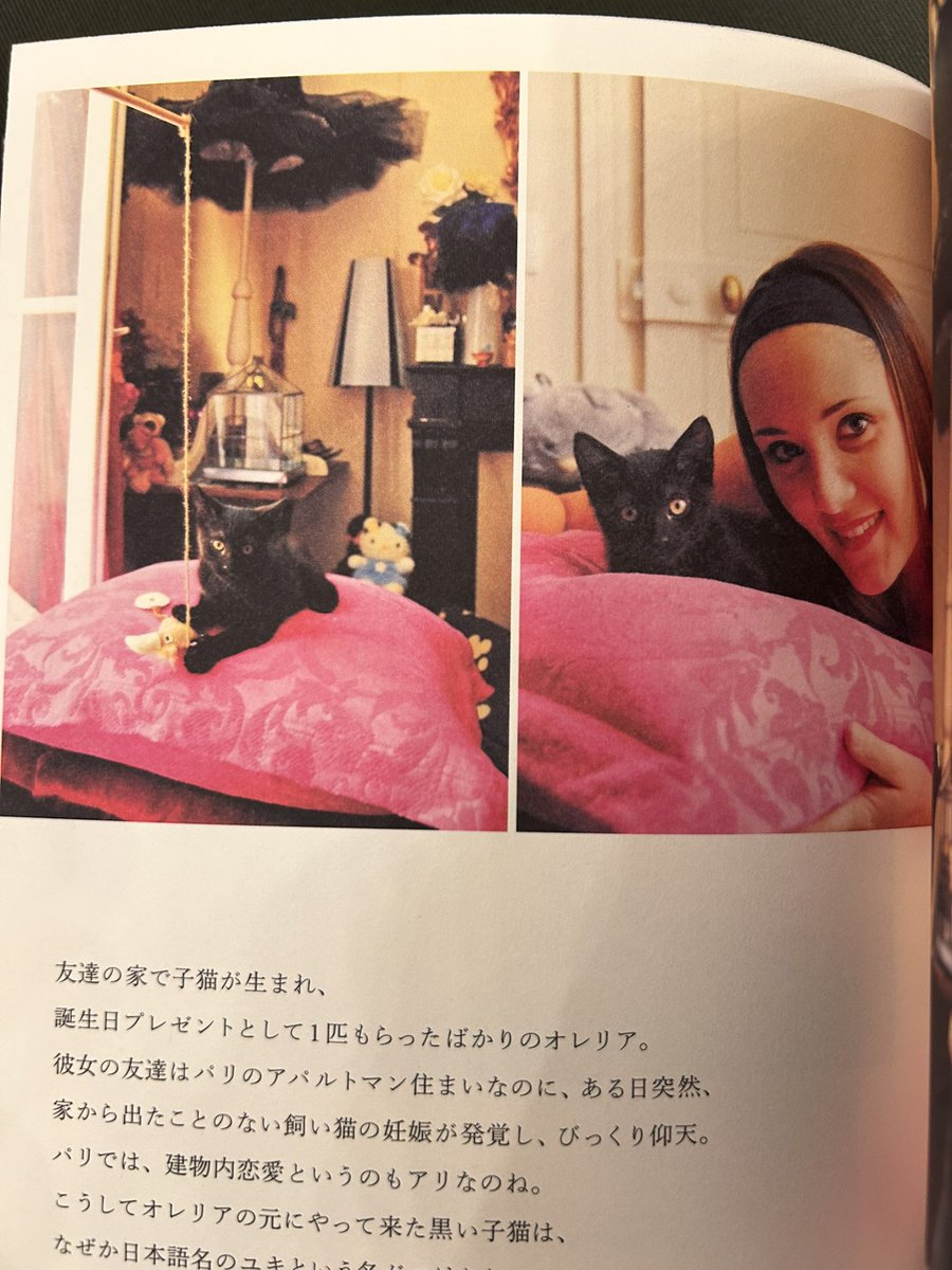lepassage2's tweet photo. 2026年6月30日火曜営業終了

本当に毎日色んな方々がご来店されますが、本日は伯爵さまご来店✨大層猫ちゃんがお好きでいらした✨
昨日とは打って変わっての佳き空気感に包まれて営業は無事終了
またのお越しをお待ちしております

次は
7月2日木曜12-18時
お待ちしております✨ https://t.co/AKZWhMKBIE