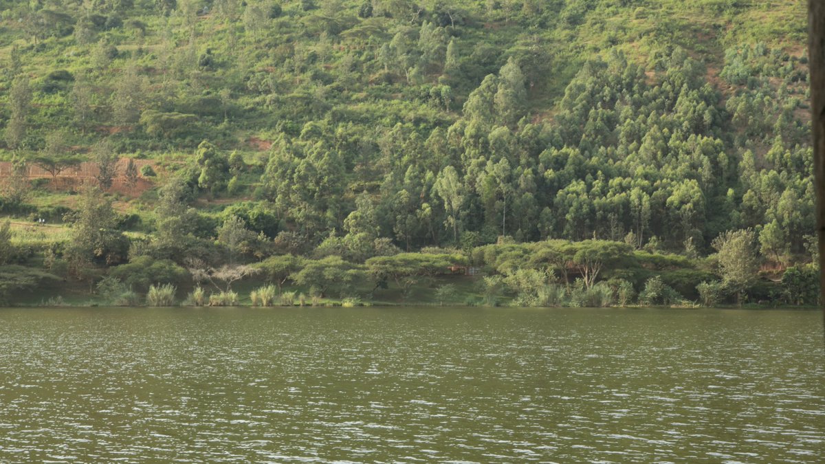 TopafricanewsC's tweet photo. 🌳 Every tree planted is a promise to future generations. Young people in Rwanda are responding to Pope Francis' call in Laudato Si' by taking practical action to care for our common home through tree planting and environmental conservation. Together, we are growing a greener future—one tree, one young person, and one community at a time. 💚🌍

#LaudatoSiInAction #CareForOurCommonHome #TreePlanting #YouthForEnvironment #ClimateAction #Rwanda #EnvironmentalStewardship