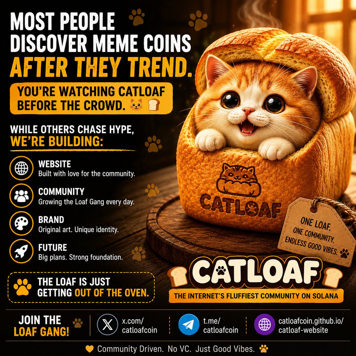 🐱🍞 CatLoaf tweet media