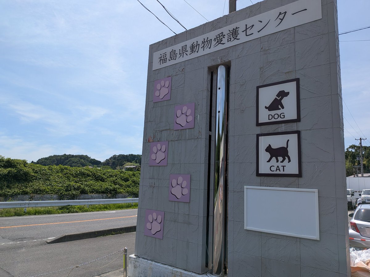 nekokatsu_1's tweet photo. ２０２６年６月１７日、福島県動物愛護センターから成猫１２頭と子猫１７頭の計２９頭の猫たちを引き出しました。

日々、保護やレスキューが続いています。

みなさまの応援で活動ができています。
よろしければ、ご支援をお願い致しますm(_ _)m

https://t.co/oJ4ubvMngA

ＧＭＯあおぞらネット銀行
法人第二営業部
普通 2237197
ＮＰＯ法人ねこかつ

#不妊去勢手術は動物愛護の第１歩

ーーーーーーーーーーーーー

前回の５月２９日に２２頭の猫たちを福島センターから引き出し、センター内の収容頭数を３０数頭にすることができました。

島センターからは、収容頭数１００頭まではお世話をがんばるが、１００頭を超えると厳しい。その後に入ってくる猫に関しては殺処分せざるを得ないと言われています。

５月２９日の引き出しで３０数頭に減らすことができ、少し余裕ができたのではないか、漠然とそんな思いがありました。

ねこかつは埼玉県に本拠地のある保護猫団体です。当然、保護する猫も地元埼玉県が中心になり、日々、保護依頼が絶えません。

５月２９日以降も地元埼玉で何頭も保護していますし、６月６日には栃木県真岡市の多頭飼育、６月７日には茨城県坂東市から１３頭の猫たちをレスキューしました。

https://t.co/ll70Eyr4HD
ンンインタスタタグラム　ねこかつレスキュー

ところが６月１０日、福島センターから電話がありました。

「今週中に収容頭数が１００頭を超えそう。」

前回の福島から２週間も経っていないのに、７０頭も増えたのか。。。

そうして翌週の６月１７日に福島入りすることになりました。

誰が見てもかわいい子猫たちや多頭飼育崩壊現場から新たに収容された猫たちがいました。

センターが、引き出して欲しい猫
ねこかつが、引き出せる猫

センターの方が里親さんが決まりやすい猫
ねこかつが出した方が里親さんが決まりやすい猫

センターではこれ以上医療にかけられない猫
ねこかつに来た方が医療にかけられる猫

センター長と収容猫を見て回り引き出す猫を決めていきます

そして、猫たちをキャリーに移していきます。
シャーシャーの猫もいます。

個体識別のためにキャリーに名前が貼られていきます。

２９頭ともなると、かなりのキャリーの数になります。

センター職員さんたちを一緒に車に運びます。
車の後席もキャリーでいっぱいです。

ここまでお世話していただいたセンターの職員さんから命のバトンタッチを受けました。

センターに行くまで、どんな猫たちがいて、どんな猫たちを引き出すのかわかりません。

帰り道、代表梅田は運転手ですが、いつも同行しているスタッフ萩原は、どの猫をどの預かりさんに預けるのか、どの猫をシェルターに入居させるのか、割り振りで忙しくなります。

個体管理のために、その日のうちに写真撮影を行っています。この日も深夜まで作業が続きました。

https://t.co/ZfEqDO968s

マンスリーサポーターの方々など、皆さまの応援で助けることができています。

本当にありがとうございます。

#福島県動物愛護センター #センターレスキュー #ねこかつ