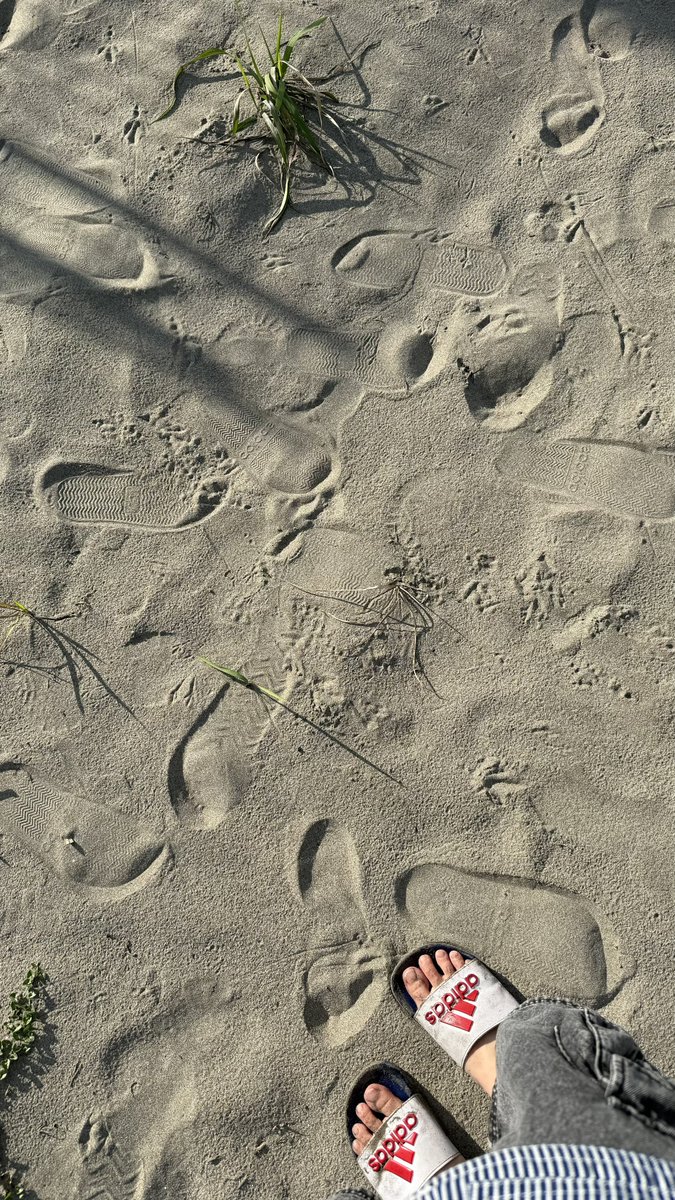nna_024__'s tweet photo. 海、綺麗でした
2枚目はぼくらのサンダル跡

上總 https://t.co/NnYclbHCRp