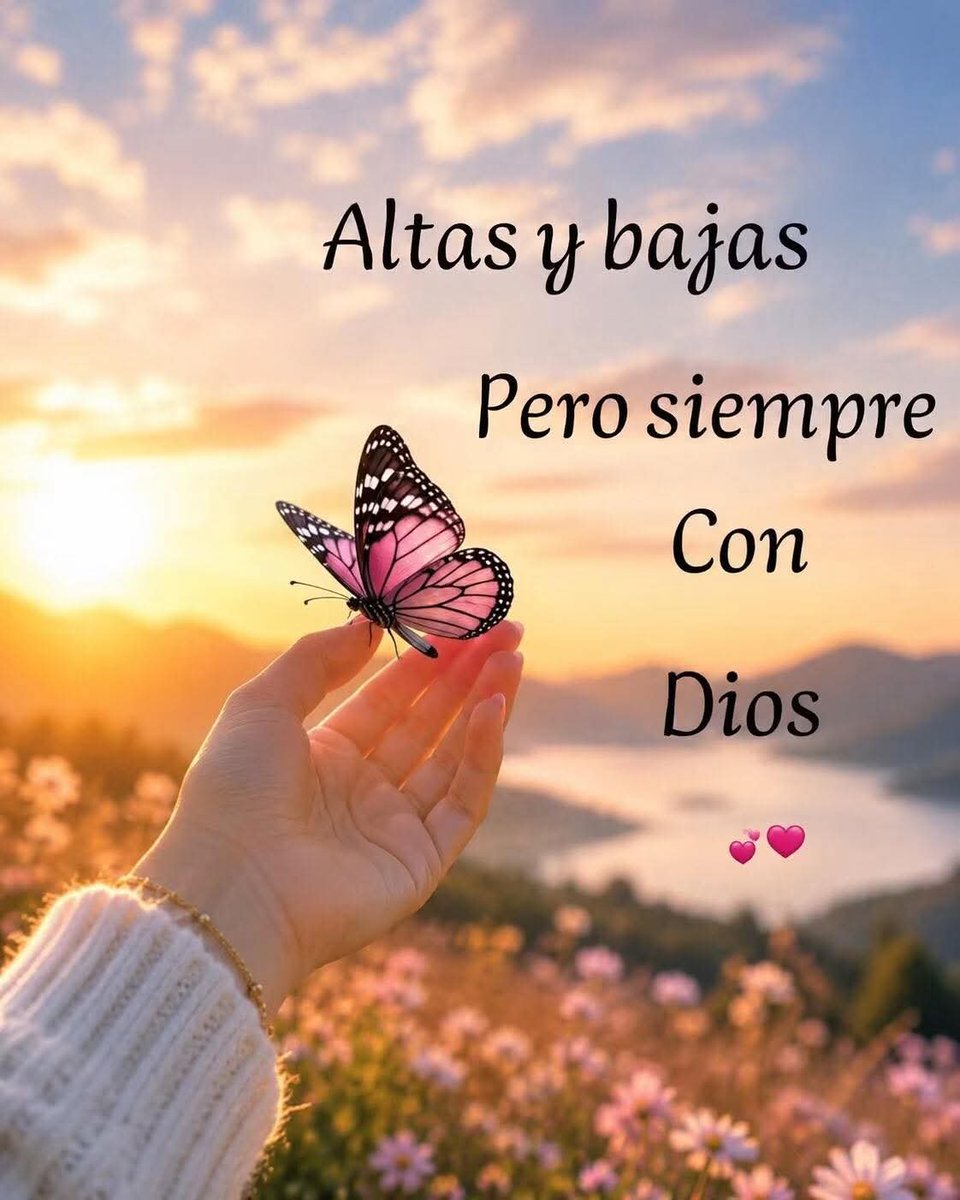 Teresamejia7's tweet photo. Gracias padre santo por este amanecer 🙏😇
Bonito martes para todos 🤗😘🇻🇪❤️ https://t.co/2kuHWKtzdh