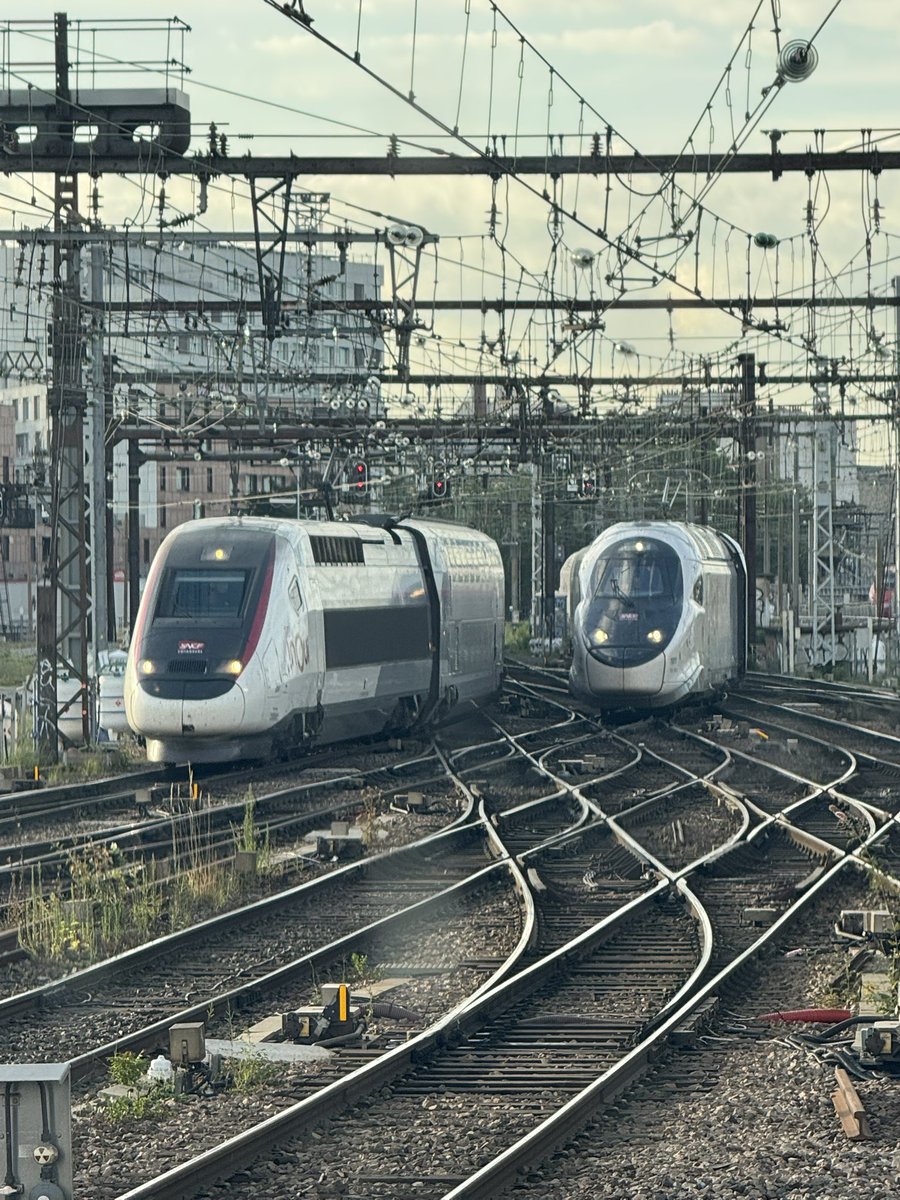MCparis19's tweet photo. 🚄 M https://t.co/1FsNgbGQ11