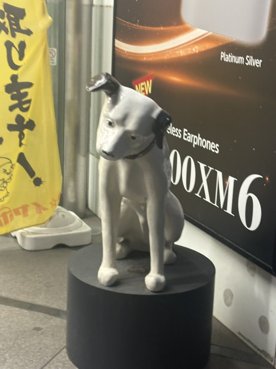 si2yahamu's tweet photo. 7月前半は2.8.15日にいます〜
すべてオープンから23:00まで！おねがいします🧌🧌

秋葉原にいる、うつ病の犬載せておきます！ https://t.co/bIYzjMWb8t