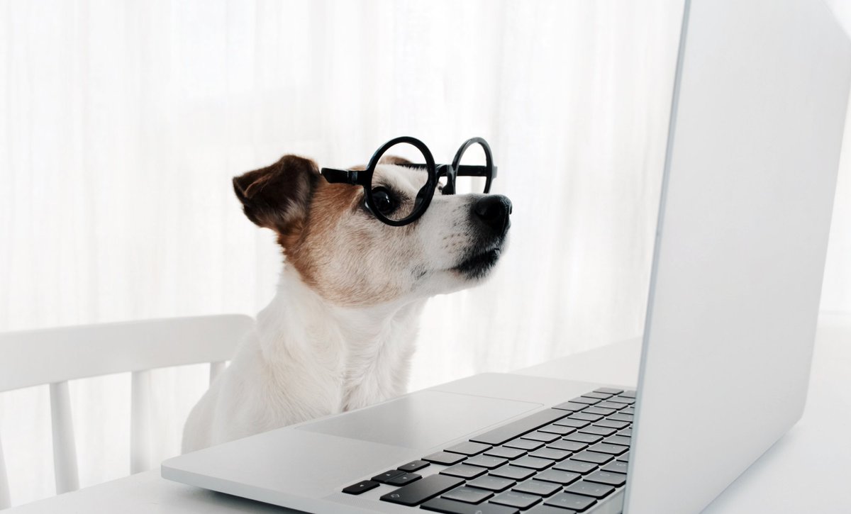 RichmondLibs's tweet photo. Need a hand with your phone or tablet? Join our Digital Drop-In at #Hampton Library today!

🕥 10:30am–11:30am
💻 Friendly support with everyday digital skills, apps, devices and more.

No booking required – just drop in! 
#DigitalInclusion #DigitalSkills #RichmondLibraries https://t.co/aXAmtsdrNj