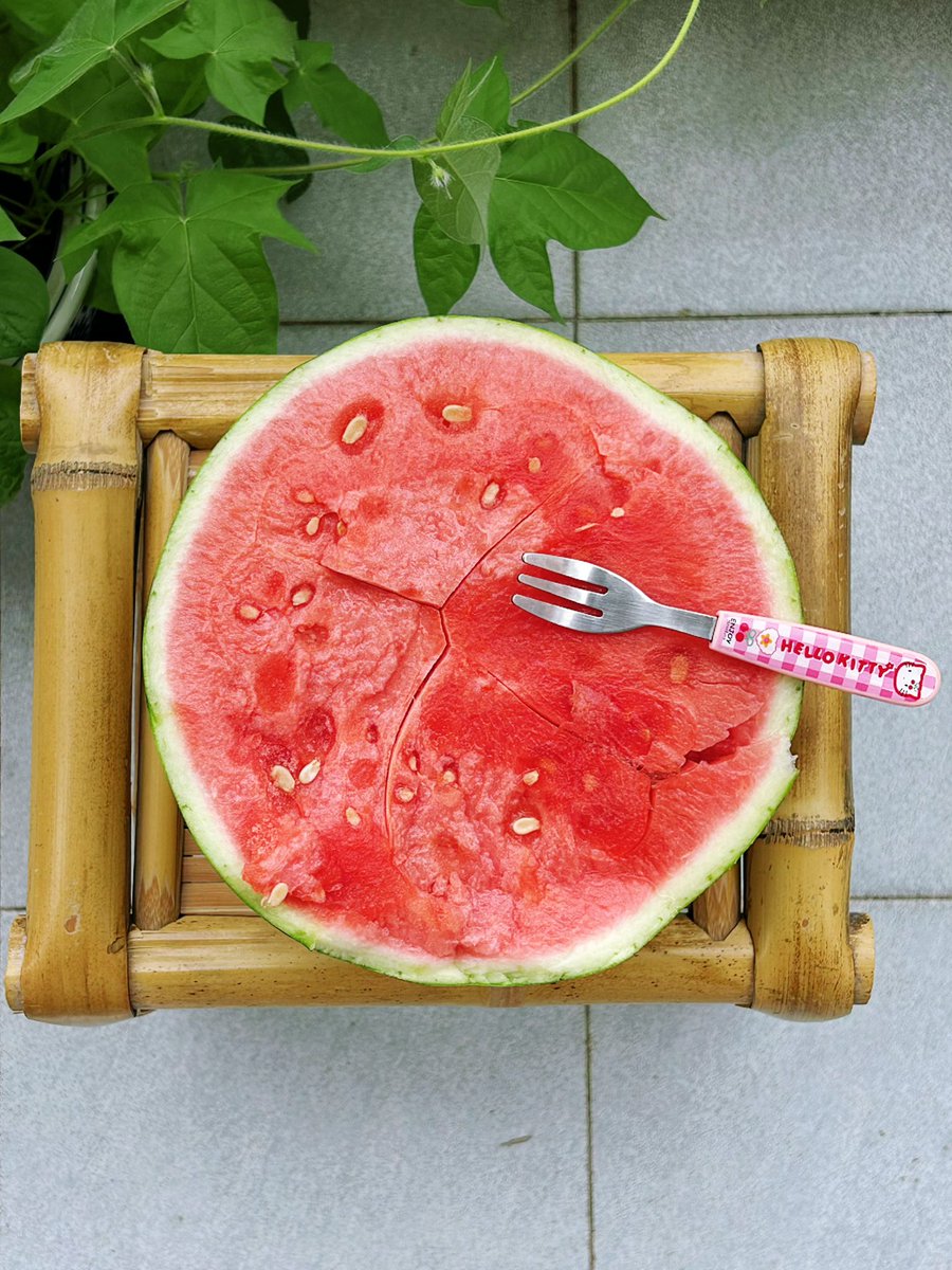StraitHeraldJP's tweet photo. 夏がやってきて、スイカ🍉がおいしい季節になりました😋
 最近はスイカの値段もなかなか高くて、美都品種の麒麟スイカは4〜5kgで39.9元ほどします。

#夏　#スイカ https://t.co/VPcFW4n8rq