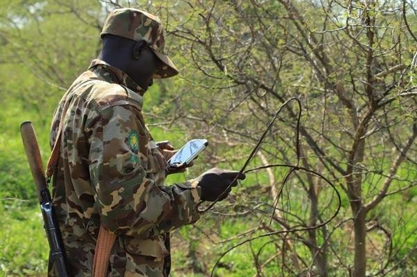 aniku_jakii256's tweet photo. Much of wildlife conservation happens behind the scenes. Every day, field teams collect critical data on wildlife, habitats, and emerging threats, providing the evidence needed for informed conservation decisions and long-term protection.#GoldenPosts
#ConservingForGenerations https://t.co/MVkr5Ro96x