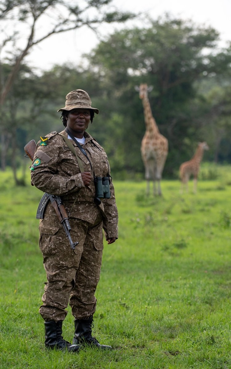 aniku_jakii256's tweet photo. Much of wildlife conservation happens behind the scenes. Every day, field teams collect critical data on wildlife, habitats, and emerging threats, providing the evidence needed for informed conservation decisions and long-term protection.#GoldenPosts
#ConservingForGenerations https://t.co/MVkr5Ro96x