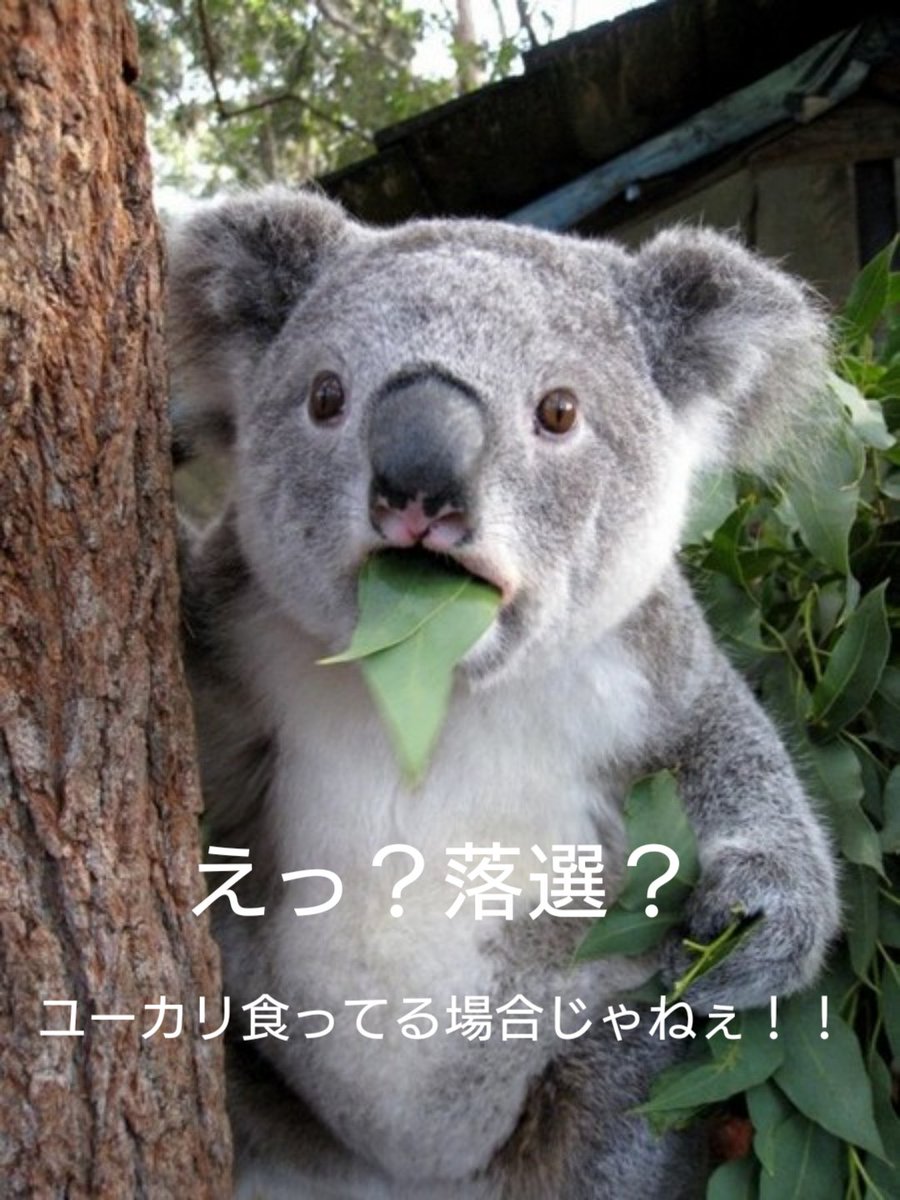178170Akatsuki's tweet photo. 本日のピーパ2次のenV当落結果のお知らせです。
#Bz
#稲葉浩志
#KoshiInaba
#enV
#当落結果 https://t.co/F5tPsjTMnr