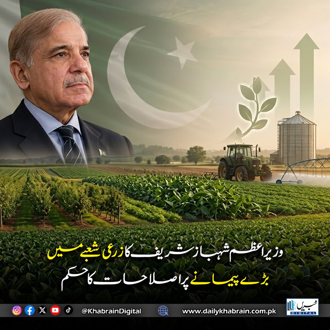 daily_khabrain's tweet photo. وزیراعظم شہباز شریف کا زرعی شعبے میں بڑے پیمانے پر اصلاحات کا حکم
#Pakistan #PMShehbazSharif #Agriculture #FarmPolicy @CMShehbaz https://t.co/9JbHWbNyAD