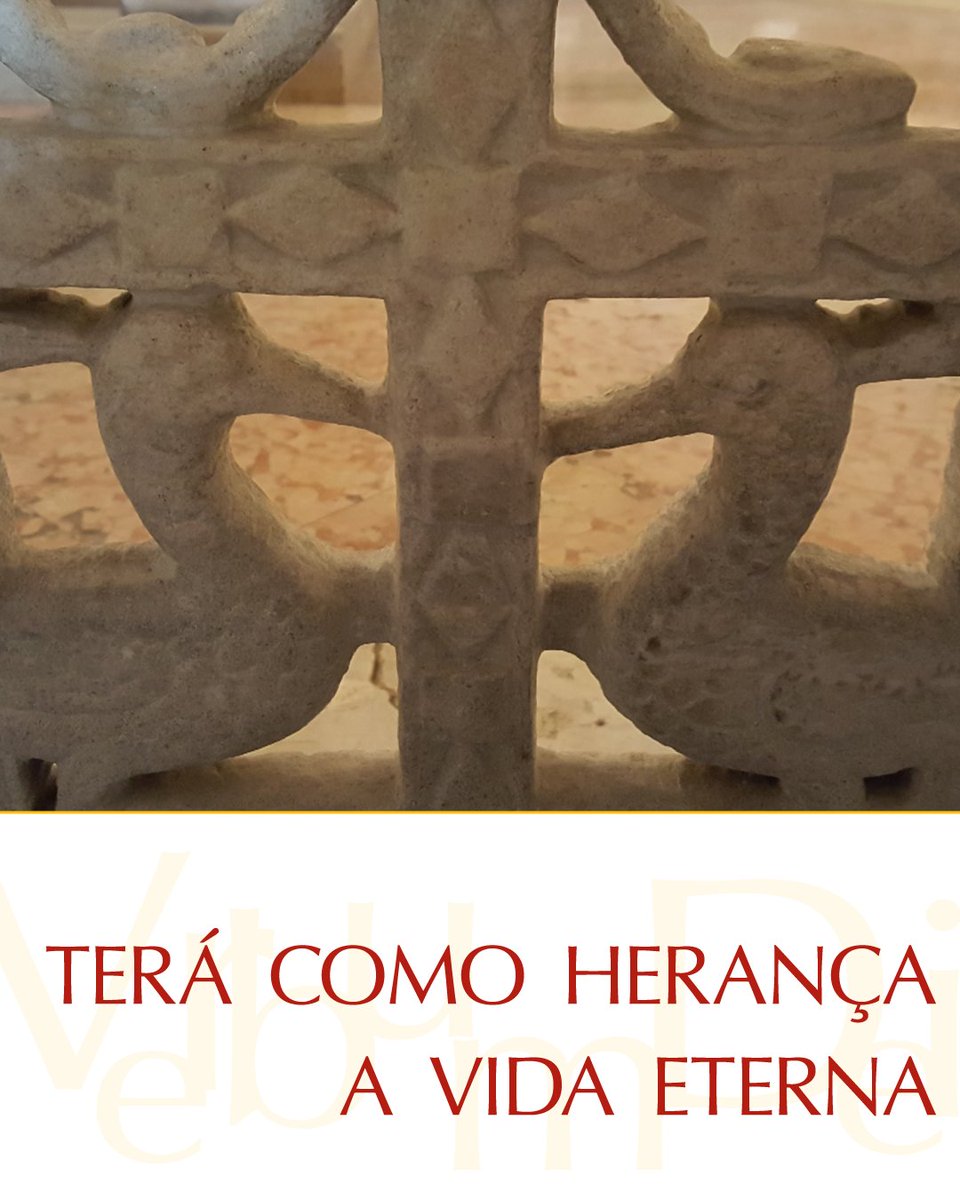 vaticannews_pt tweet picture