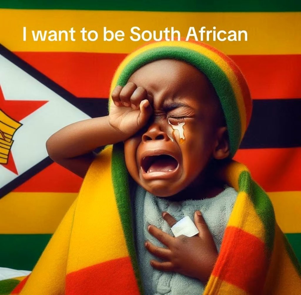 KgetoLiciouz's tweet photo. @Sharmz1212 @MDNnewss Its the one that you'll never experience   under mnagangwa's regime you bloody fool https://t.co/i1DRkcD3B4