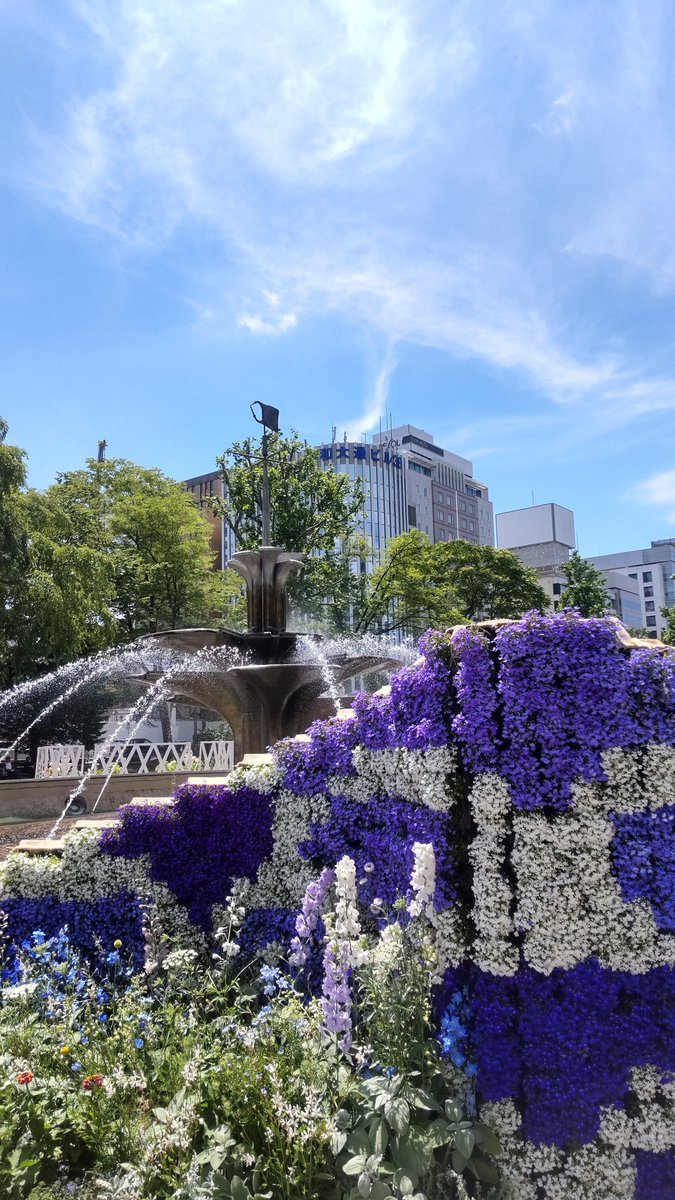usarabi723's tweet photo. 大通公園で開催中の花フェスタ
農業高校生の作品とても綺麗でした
行きたかったスタバのティー専門店にもいけたし良かった https://t.co/AYD7HVtfOA