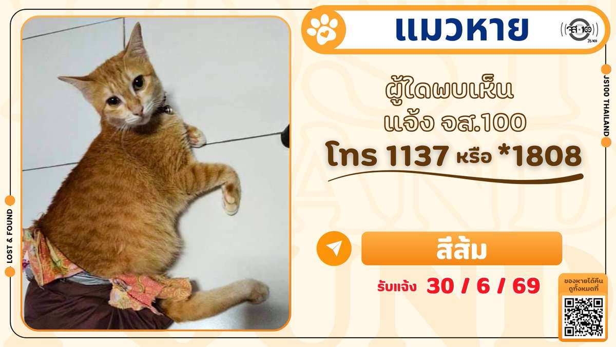 js100radio's tweet photo. แมวหายจากตู้สัมภาระ ขบวนรถไฟที่ 170 ขึ้นจากยะลา - กทม. ผู้ใดพบเห็นแจ้ง JS100 โทร *1808 หรือ 1137

รายละเอียดเพิ่มเติม : https://t.co/ep9l4OsRIj

#แมวหาย #ตามหาแมวหาย #JS100 https://t.co/exFyx3RqT2