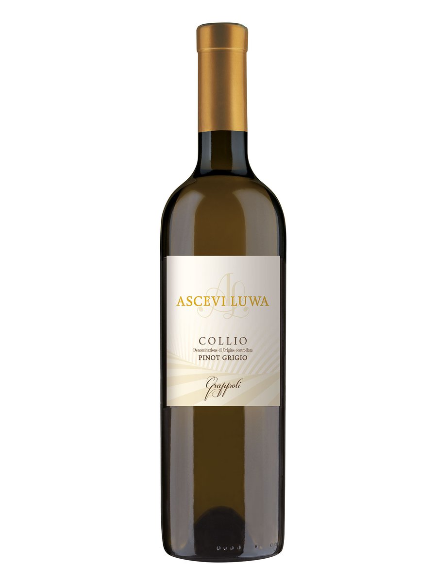 WineNewsIt's tweet photo. A #cena dal #Collio il #Grappoli 2024 di #AsceviLuwa, #PinotGrigio dagli accenni rosati, che profuma di erbe aromatiche spontanee, di pesca e violetta. Il sorso è dolce e sapido, scorre centrale e saporito, lasciando persistenza materica in bocca, https://t.co/yN9tefLt4H https://t.co/cnPAj1tmjS