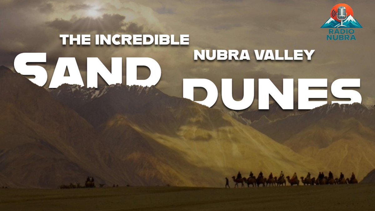 CRS_Hunder's tweet photo. Golden sands, endless horizons, and unforgettable views! Exploring the beauty of Nubra Valley Sand Dunes, nature at its finest.

#CRSSandDunes #Travel #Adventure #Nature #Explore #Wanderlust #Desert #ScenicViews https://t.co/Myrd2iLVk2