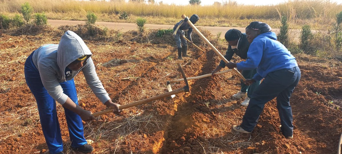 ADPP Angola tweet media
