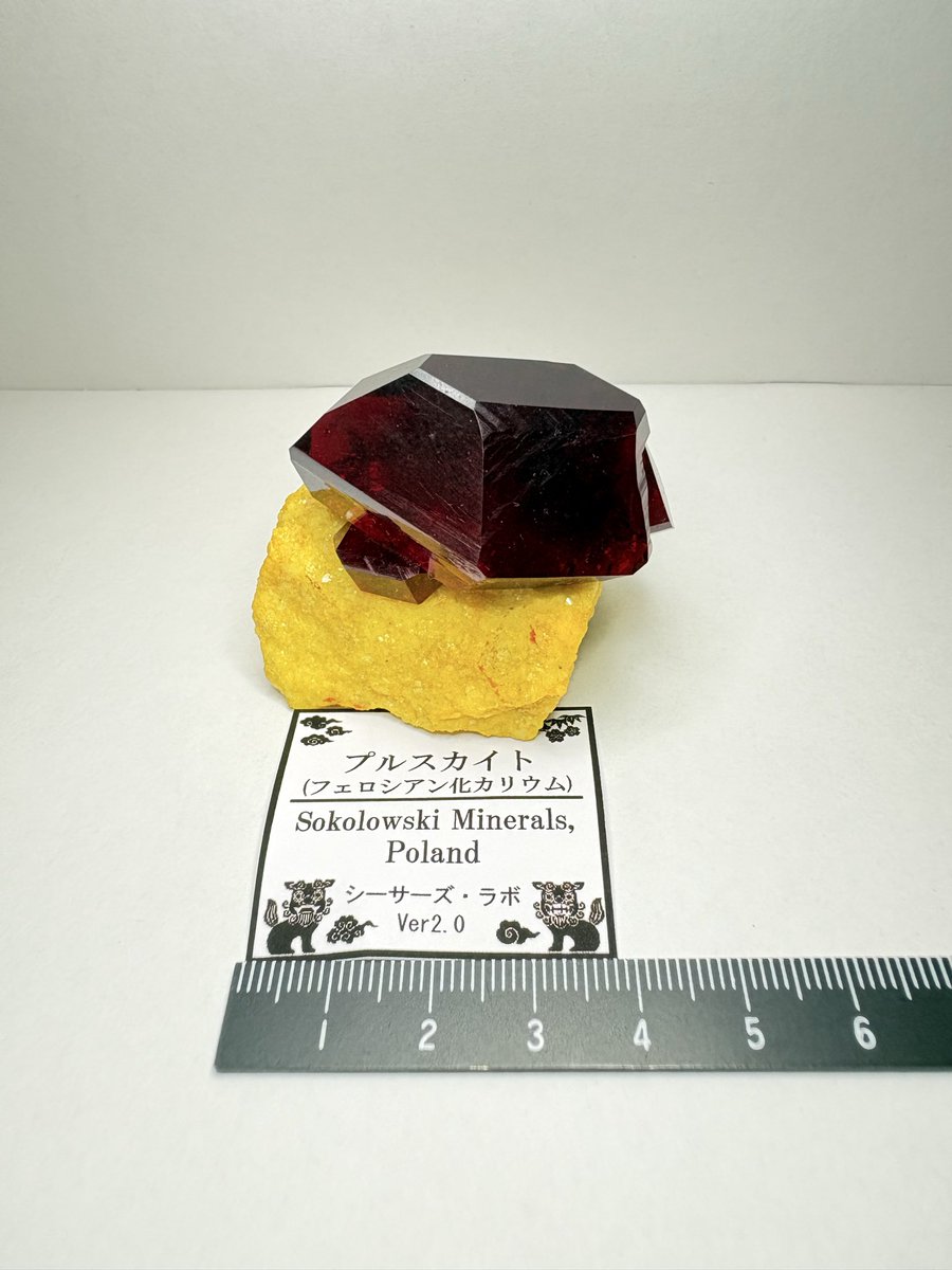 AOIroSUMI's tweet photo. シーサーズ・ラボ様からお迎えしたプルスカイトが存在感デカすぎて、用意してたケースに入り切らなかった！
こちらのお店からお迎えした石が鉱物棚にチラホラ居る事にさっき気づいた…
賢者の石みたいでカッコよすぎるやろ…
3色ルースもミニルビーも、最高✨
オマケの青いガラスもとても綺麗✨ https://t.co/9wLSuU0gTT