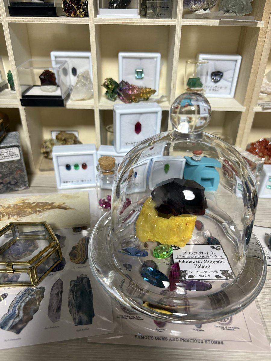 AOIroSUMI's tweet photo. シーサーズ・ラボ様からお迎えしたプルスカイトが存在感デカすぎて、用意してたケースに入り切らなかった！
こちらのお店からお迎えした石が鉱物棚にチラホラ居る事にさっき気づいた…
賢者の石みたいでカッコよすぎるやろ…
3色ルースもミニルビーも、最高✨
オマケの青いガラスもとても綺麗✨ https://t.co/9wLSuU0gTT