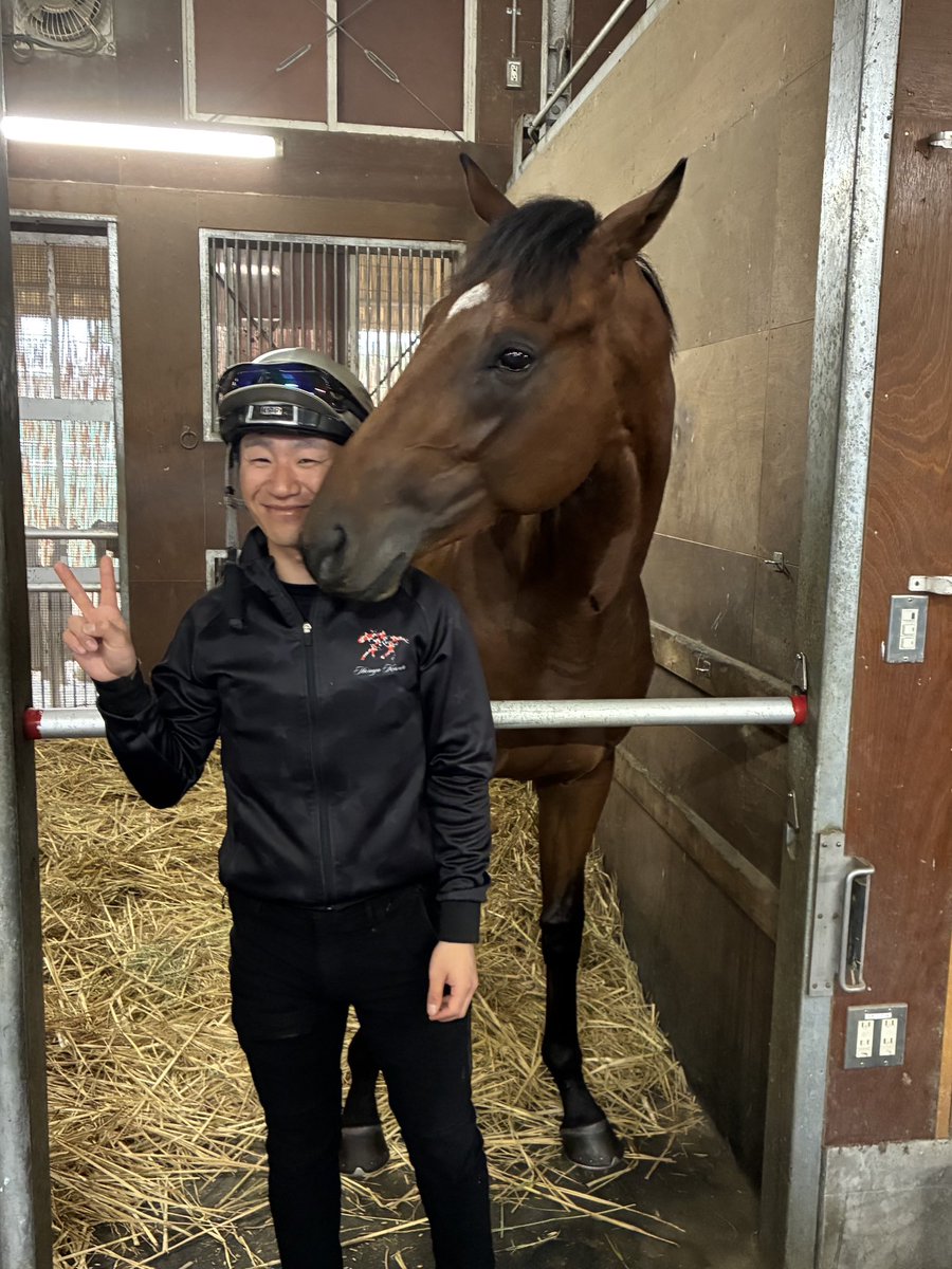 KikuzawaK's tweet photo. 先週買ったデアリングエアとウインワーグナーと📷
2頭とも僕に興味深々で可愛かったです☺️ https://t.co/M4lp2k8eXN