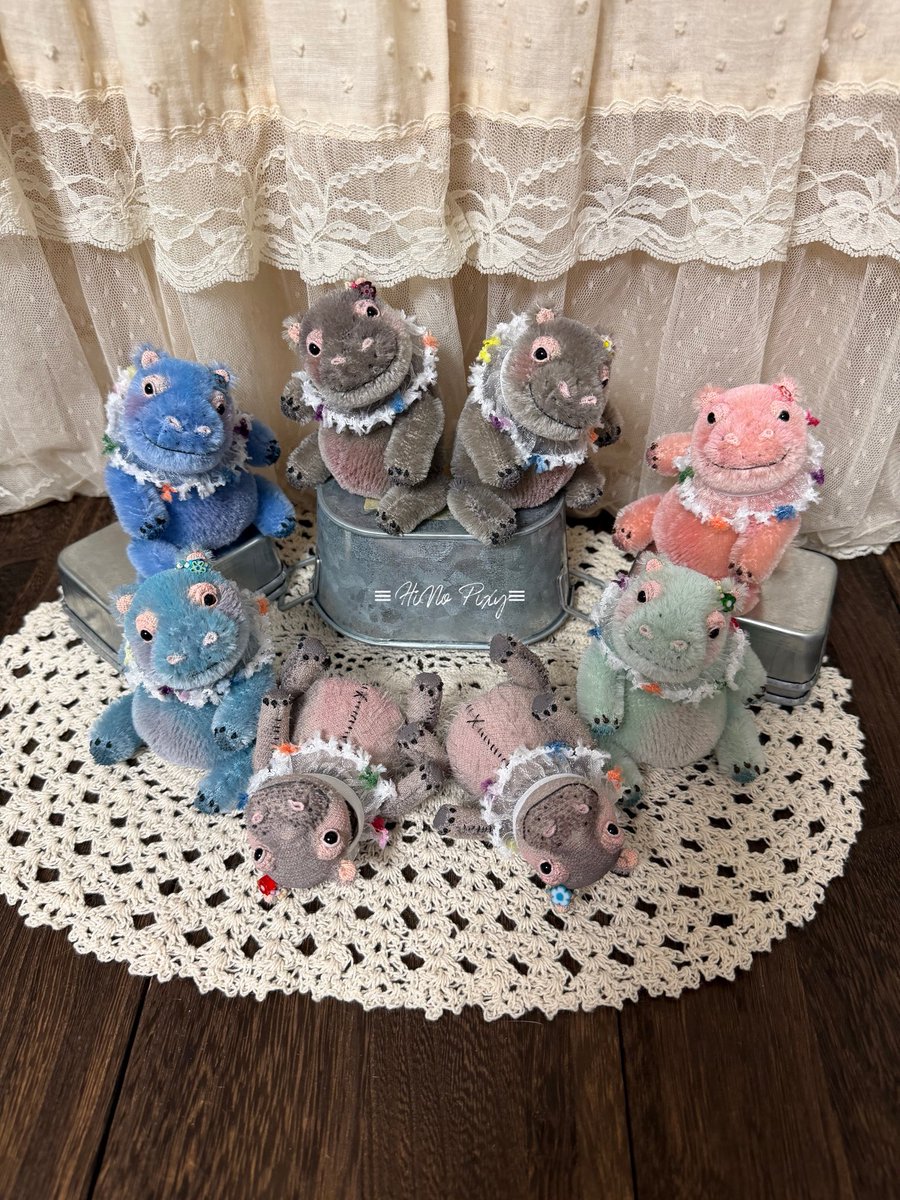 本日 お家探しのミニかばちゃん達🦛 プレビューご回覧ありがとうござい