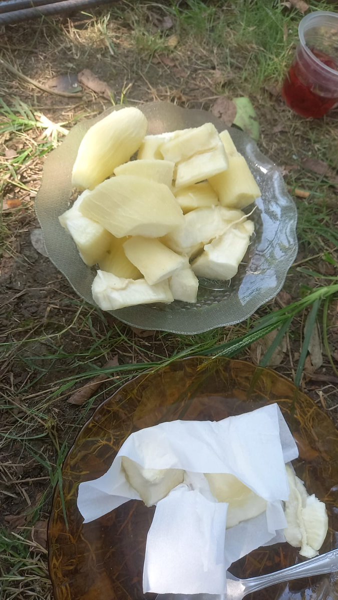 HaidarAl28's tweet photo. Yummy food boiled cassava https://t.co/D6iuqkjzuj