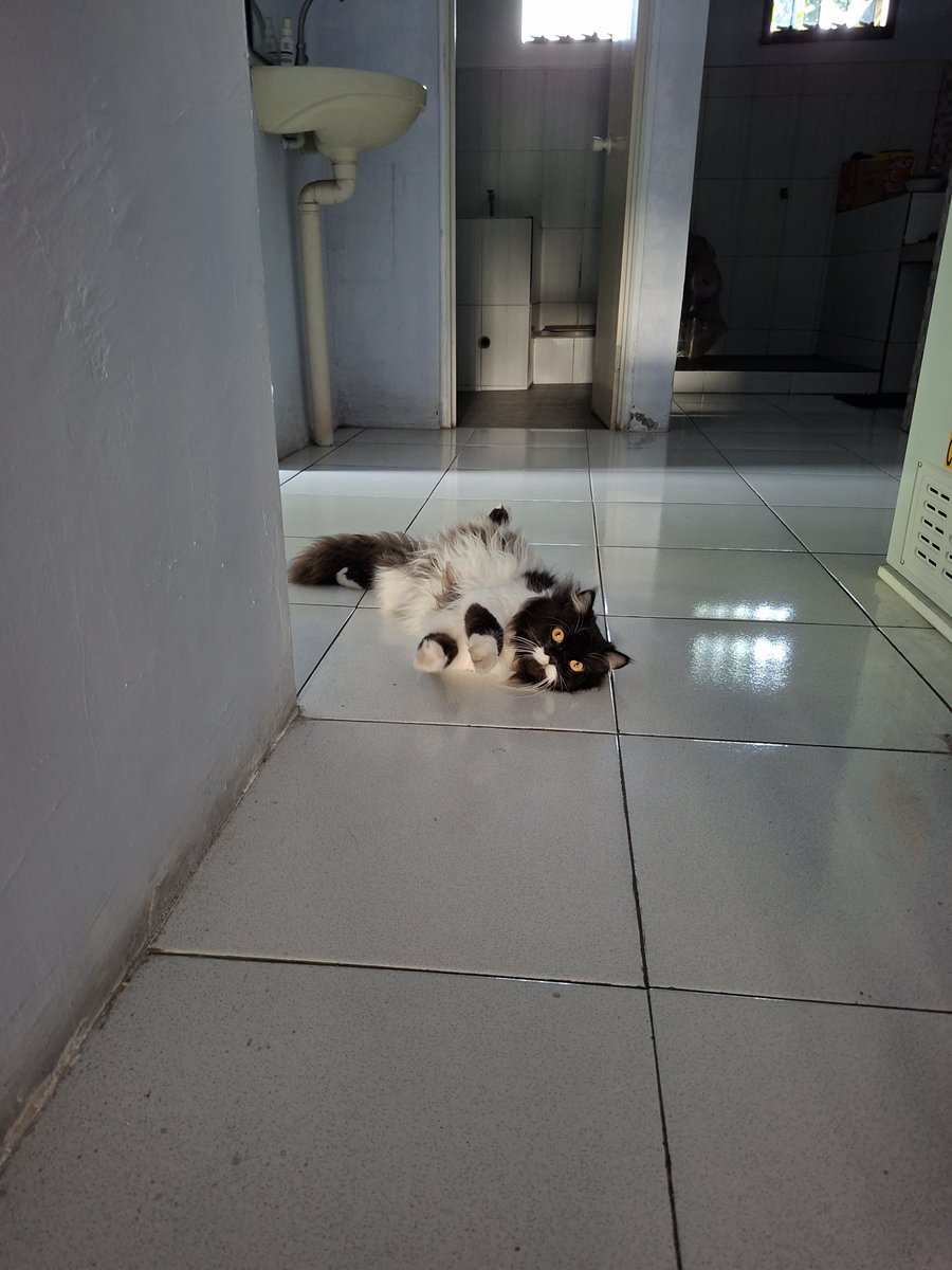 ohvilia's tweet photo. kumpulan opet rebahan https://t.co/NVceFsNUI6